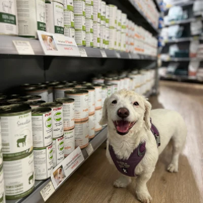 Produktbild von PERRO Shop Brixlegg & Wattens's Leinen & Geschirr