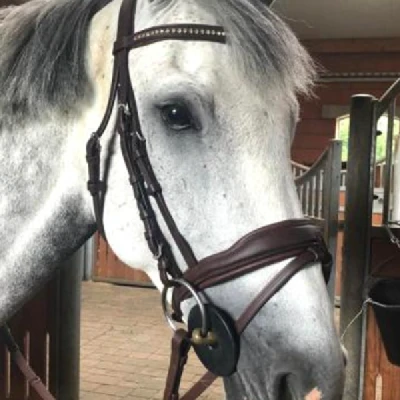 Produktbild von JH Reitsport's Zaumzeug Trensenzaum Daniela
